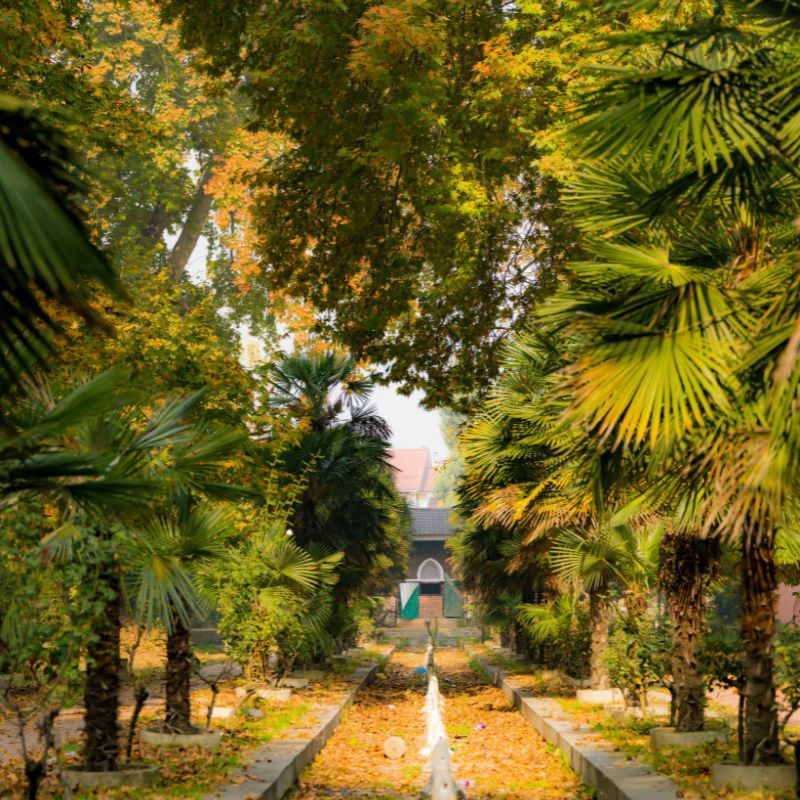 images/insta/Kashmir Tour Package 5 Nights 6 Days 2.jpg